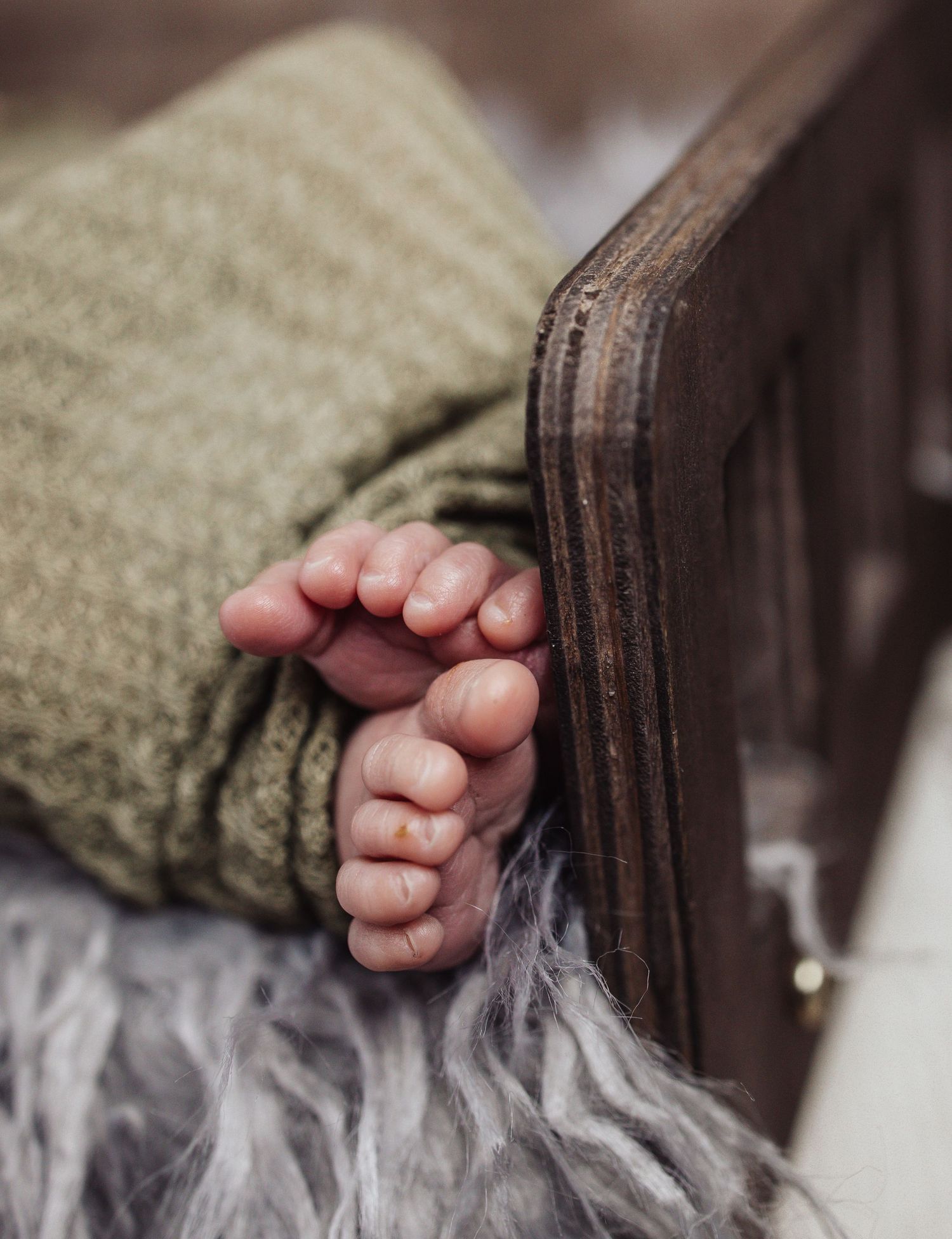 A tiny baby hand gently rests on soft gray fur, creating a tender moment of connection and warmth.