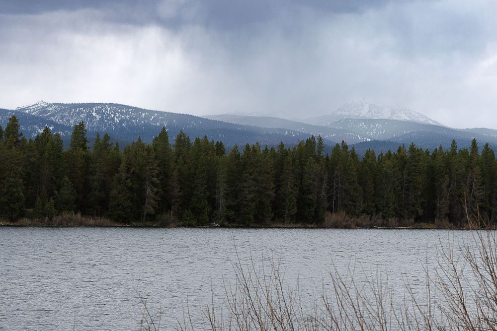 Landscape