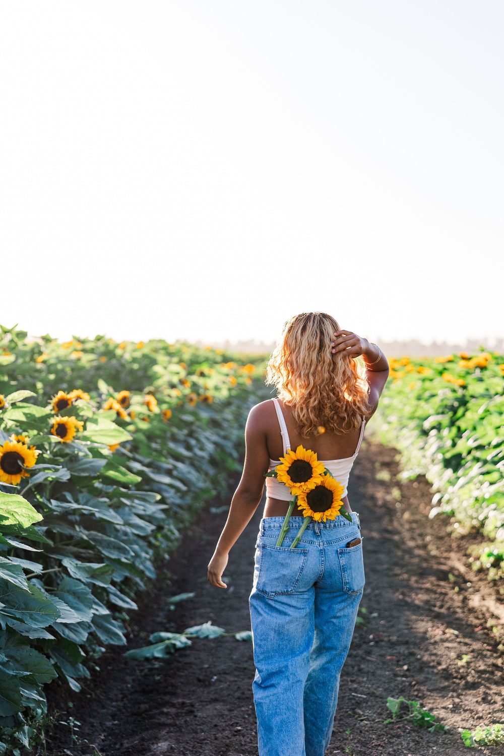 Person in denim overalls walking through a vibrant sunflower field at sunset, creating a dreamy summer scene.