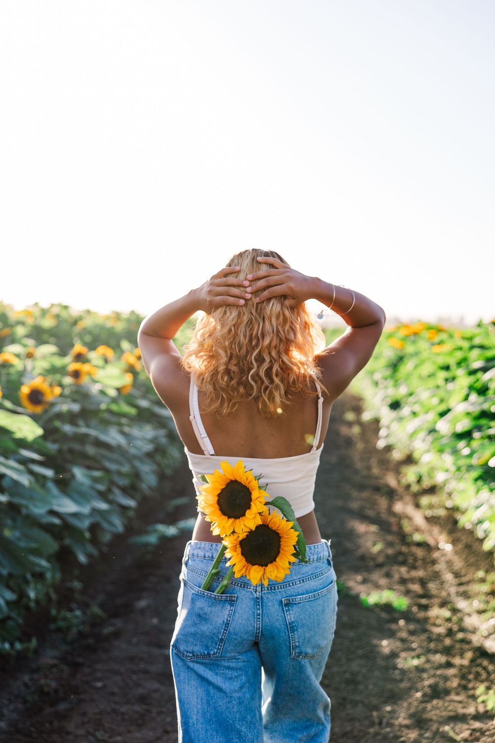Artistic back view of someone in denim jeans with sunflowers tucked in waistband against bright sky.