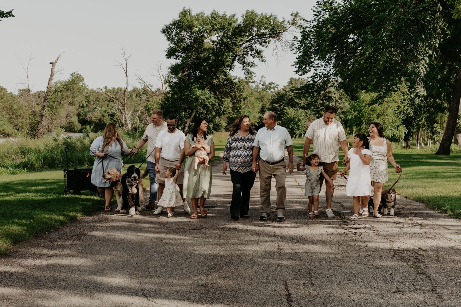 A series of candid outdoor family photo sessions in a lush green park setting.