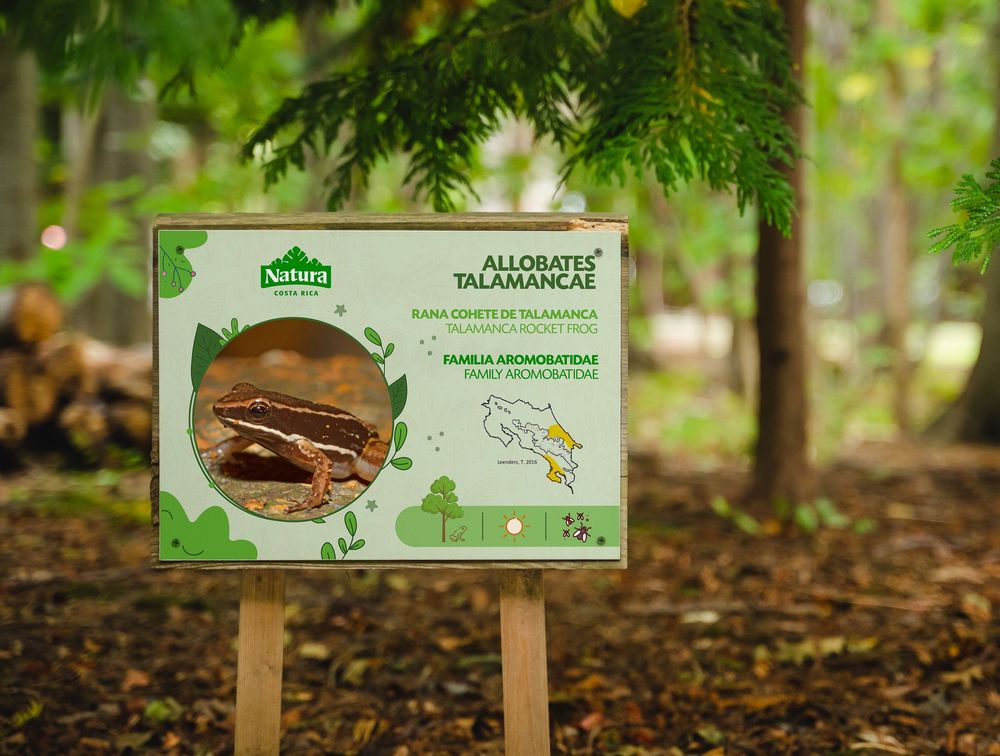 A wooden trail sign displaying information about hiking paths in a forest setting.