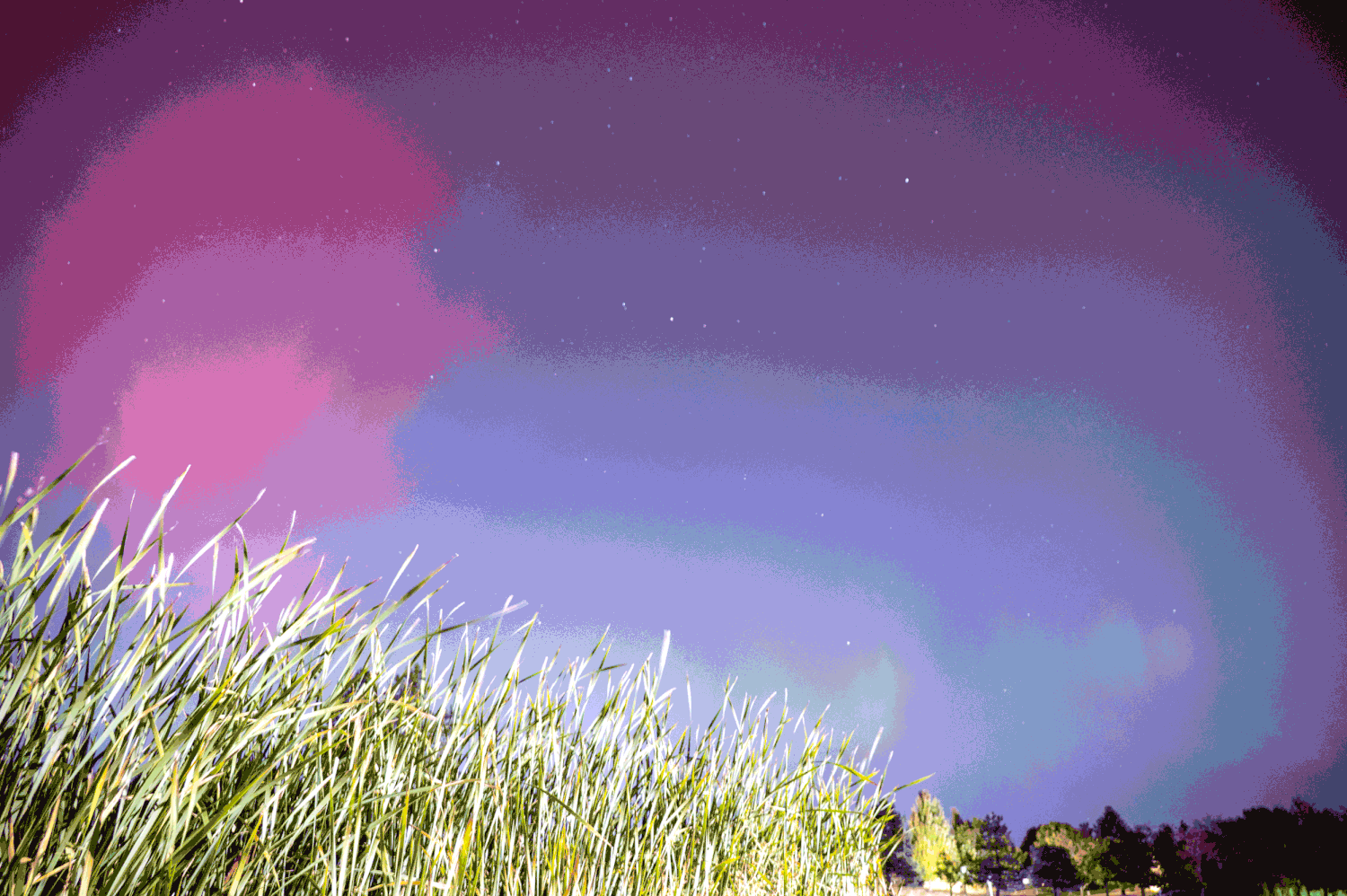GIF of Aurora lights over cornfields