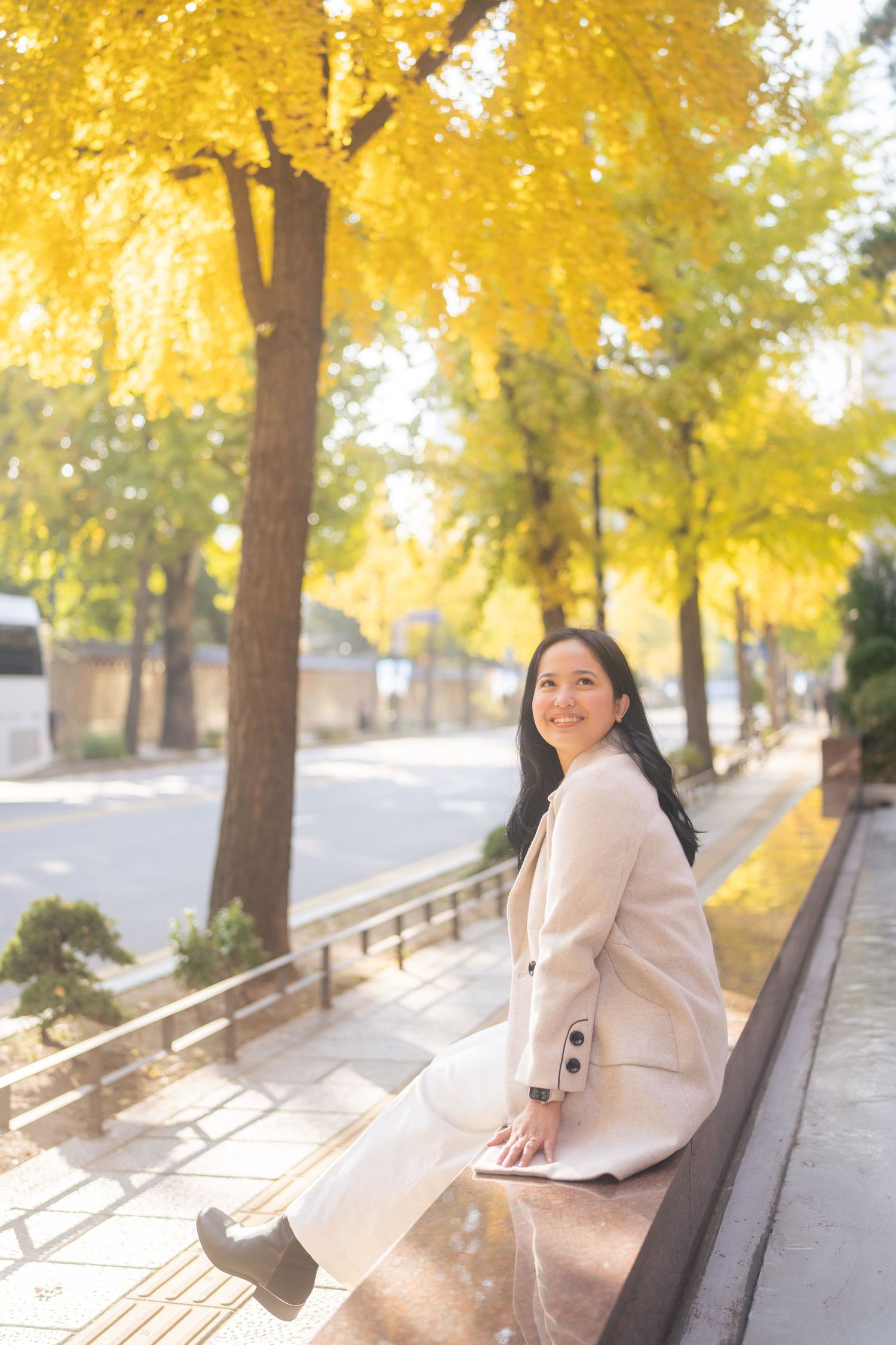 Someone in a beige outfit sits on a bench under vibrant yellow autumn ginkgo trees on a sunny day.
