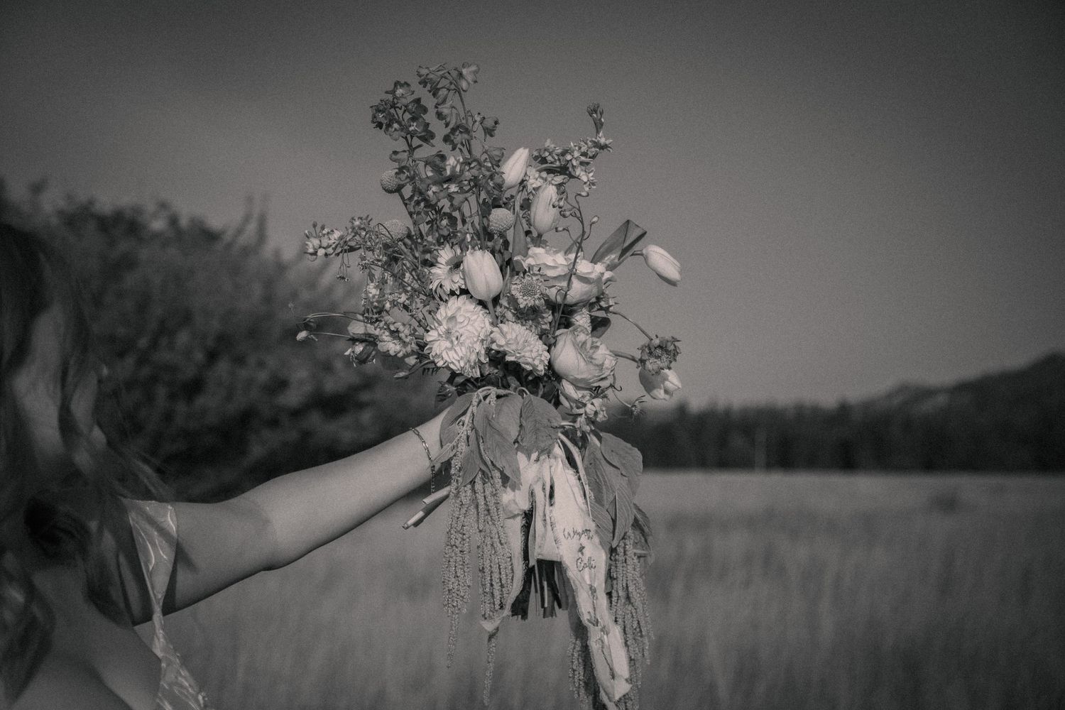 A couple holds hands in a meadow surrounded by evergreen trees and mountains under moody cloudy skies.