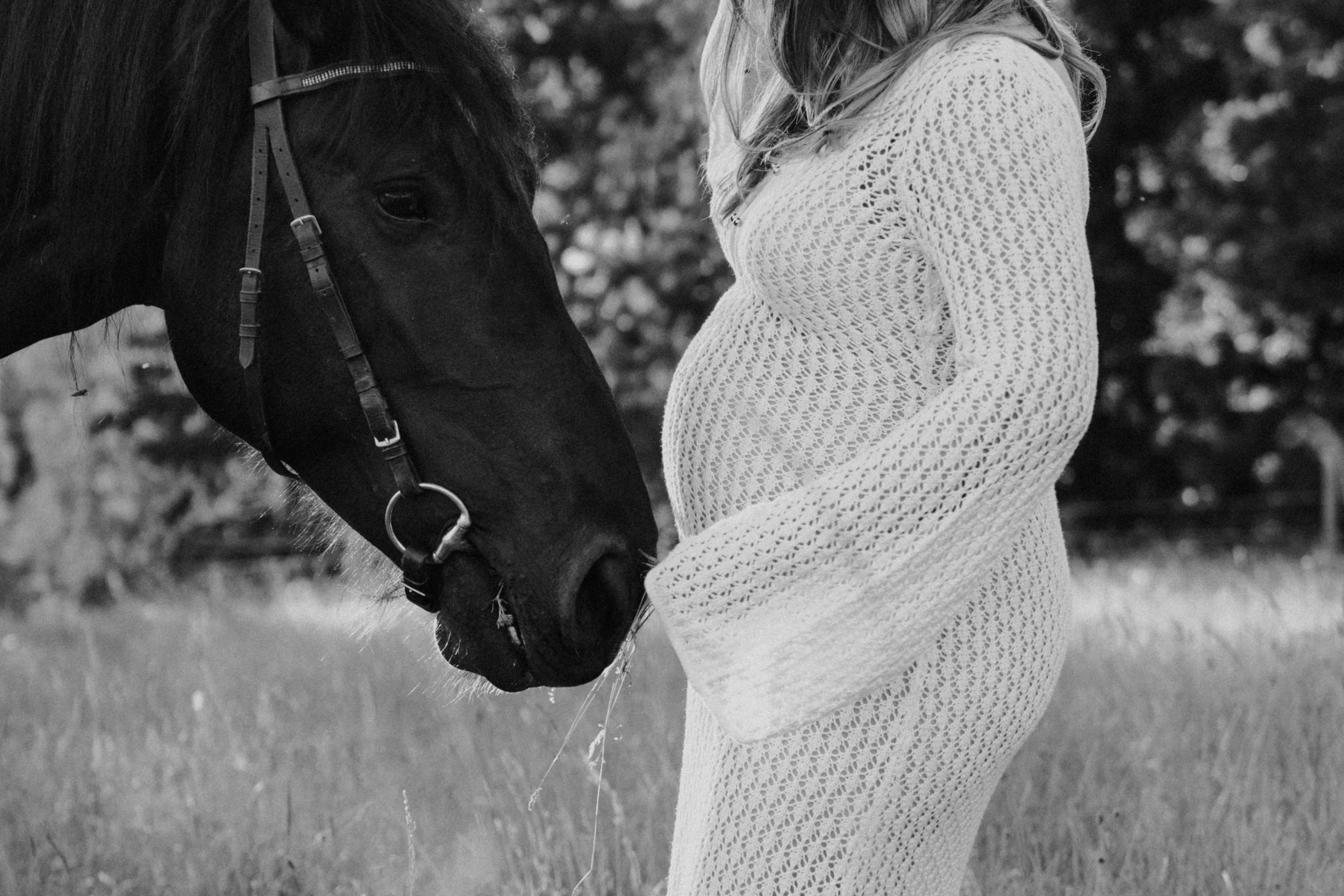 Babybauch mit Pferd