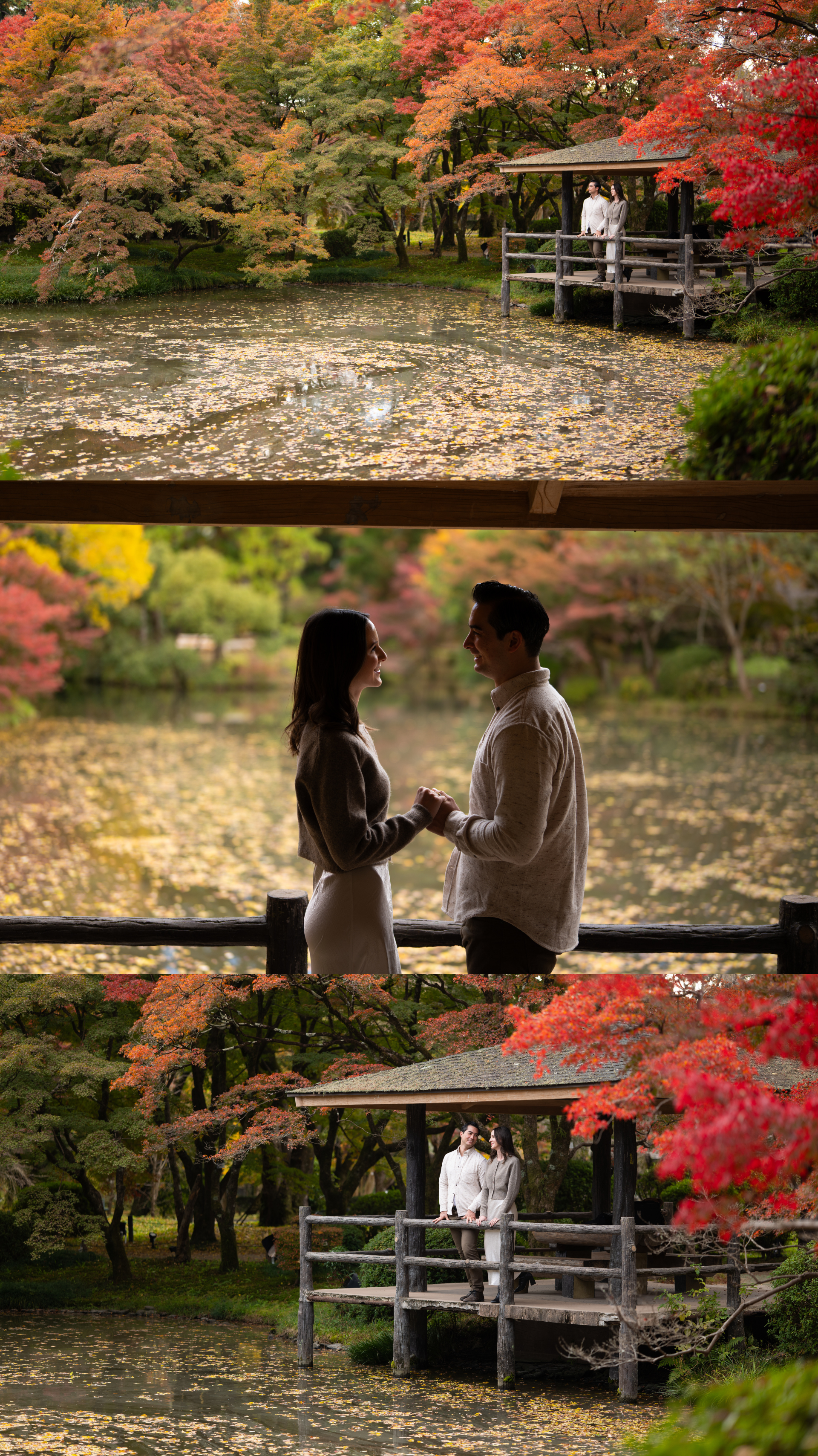 Couple holds hands on a wooden bridge over a lily pond surrounded by vibrant autumn foliage in a Japanese garden.