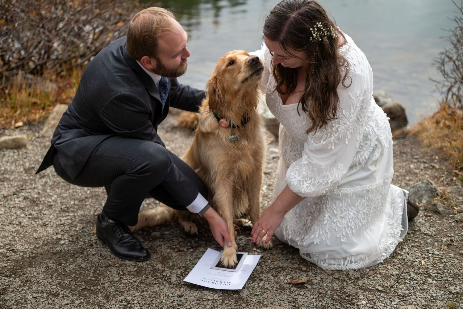 A bride and groom in wedding attire pose with golden retriever dog outdoors near lake, helping pet sign marriage certificate.