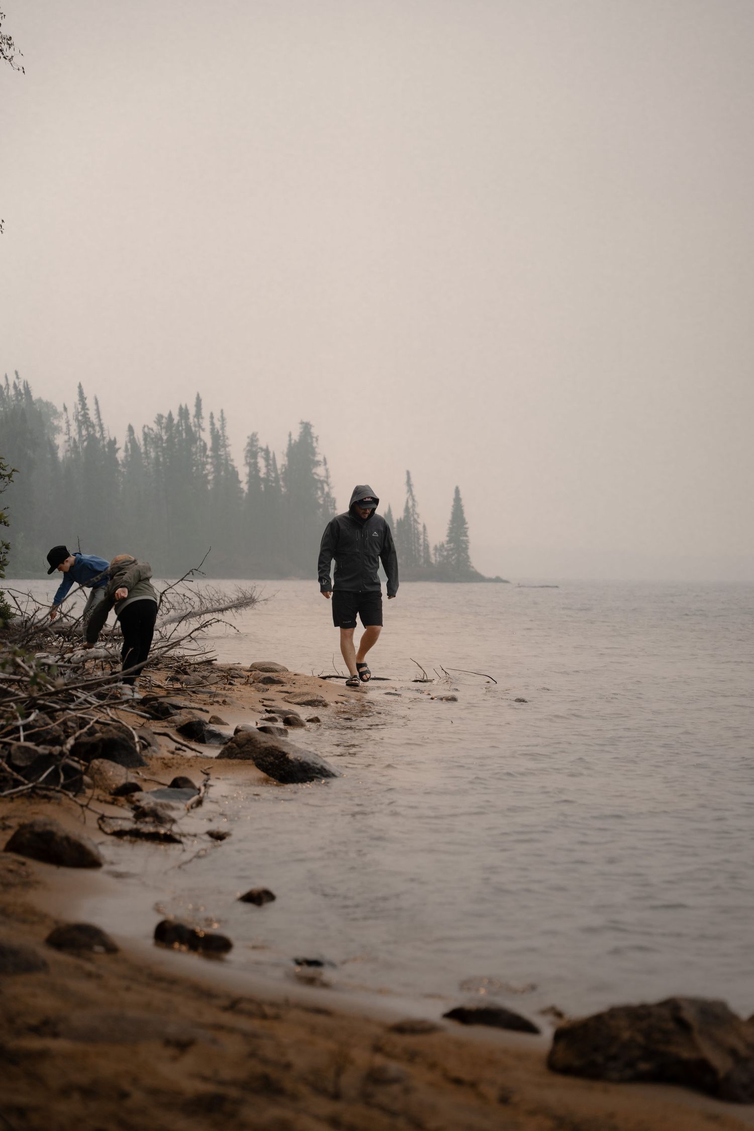 People fishing along a rocky shoreline on a foggy day with pine trees in the distance.