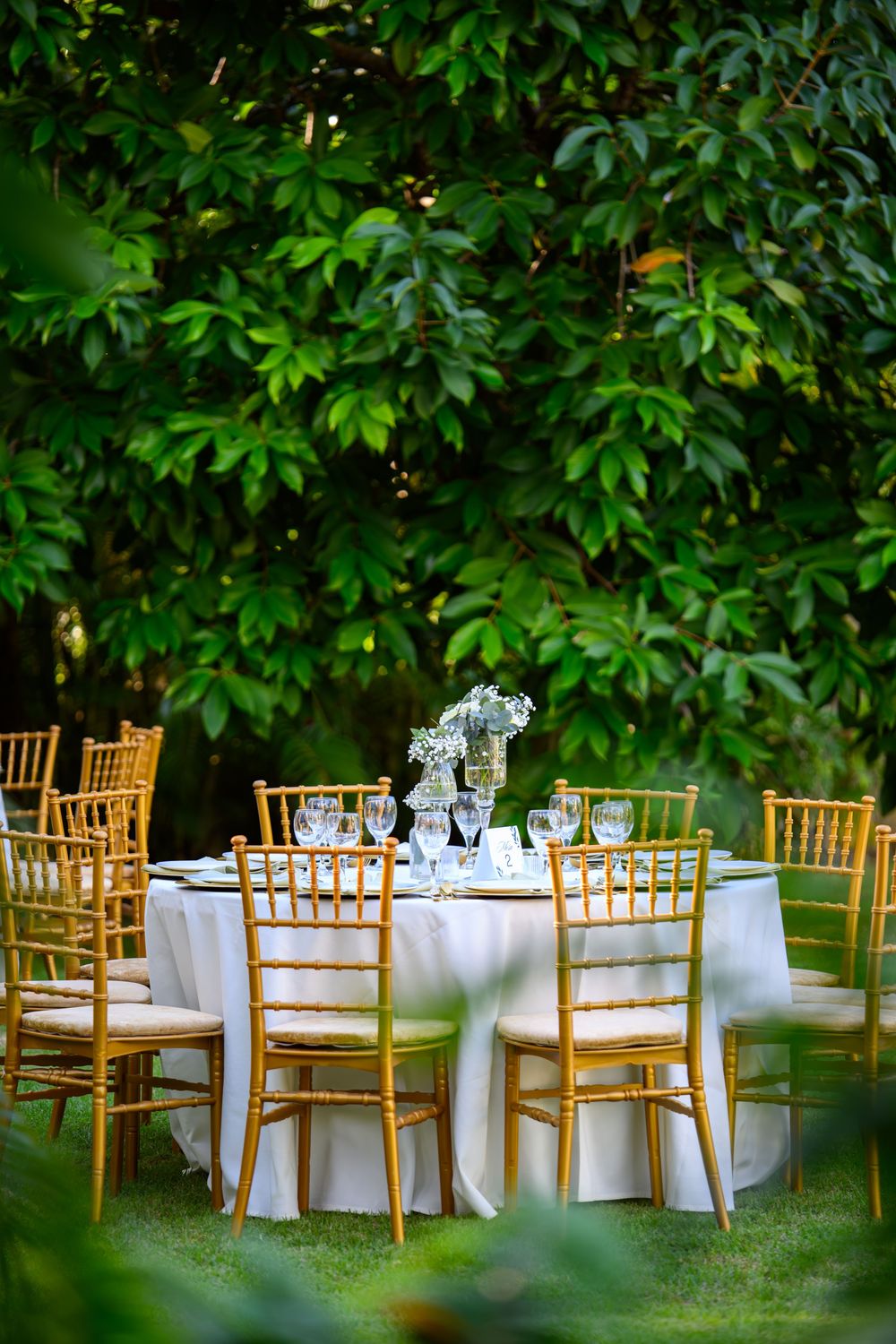Elegant Caribbean wedding decor blending natural elements and refined design in Sosua–Cabarete
