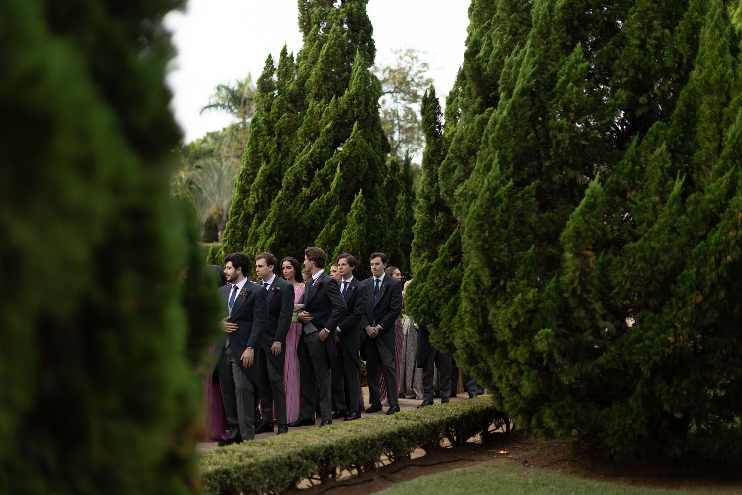Wedding party stands between rows of tall cypress trees in a formal garden setting.