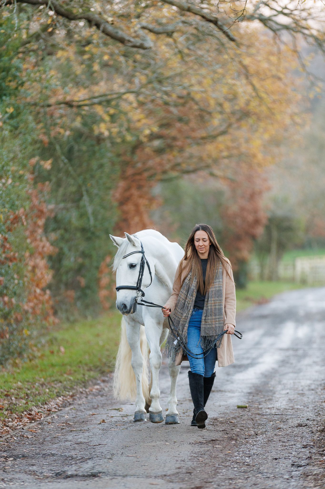 A beautiful black and white paint horse stands with a person on a sunny autumn day outdoors.