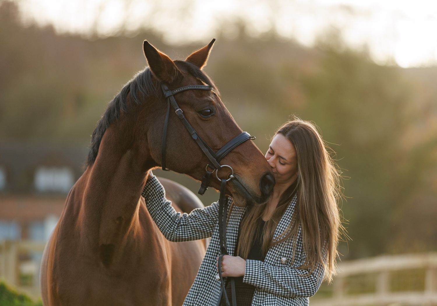 A series of seven photos showing a white horse and rider interacting at a wooden fence in an outdoor setting.
