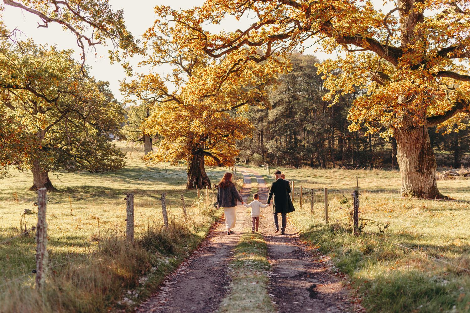 Two people walk along a tree-lined autumn path with golden foliage overhead and fallen leaves on the ground.