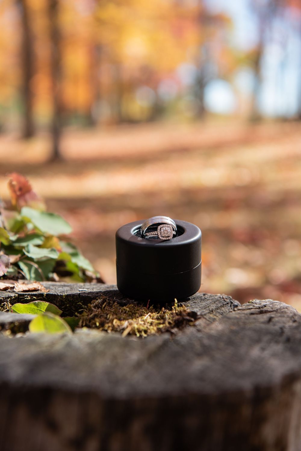 A black hockey puck rests on dirt ground with autumn leaves and blurred foliage in the background.