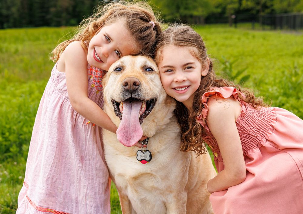 A happy tan Labrador breed dog with tongue out poses with two people in pink dresses on green grass.