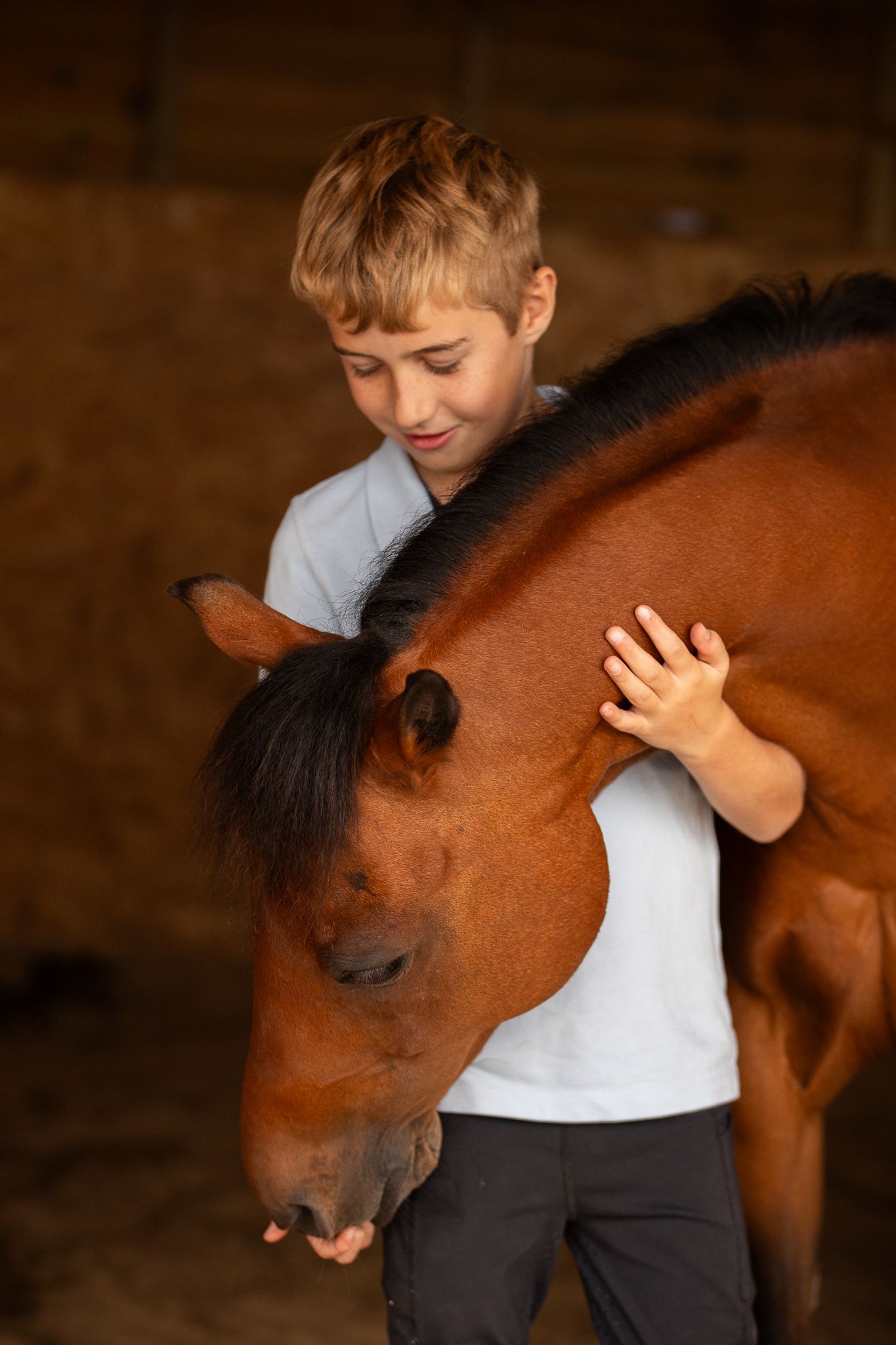A young boy in a white shirt shares a tender moment hugging and bonding with a brown horse in a stable.