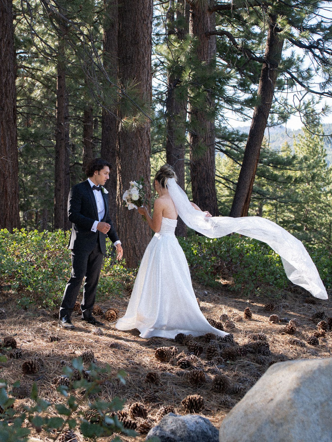 A couple in wedding attire stand among tall pine trees as the bride's long veil flows dramatically in the wind.