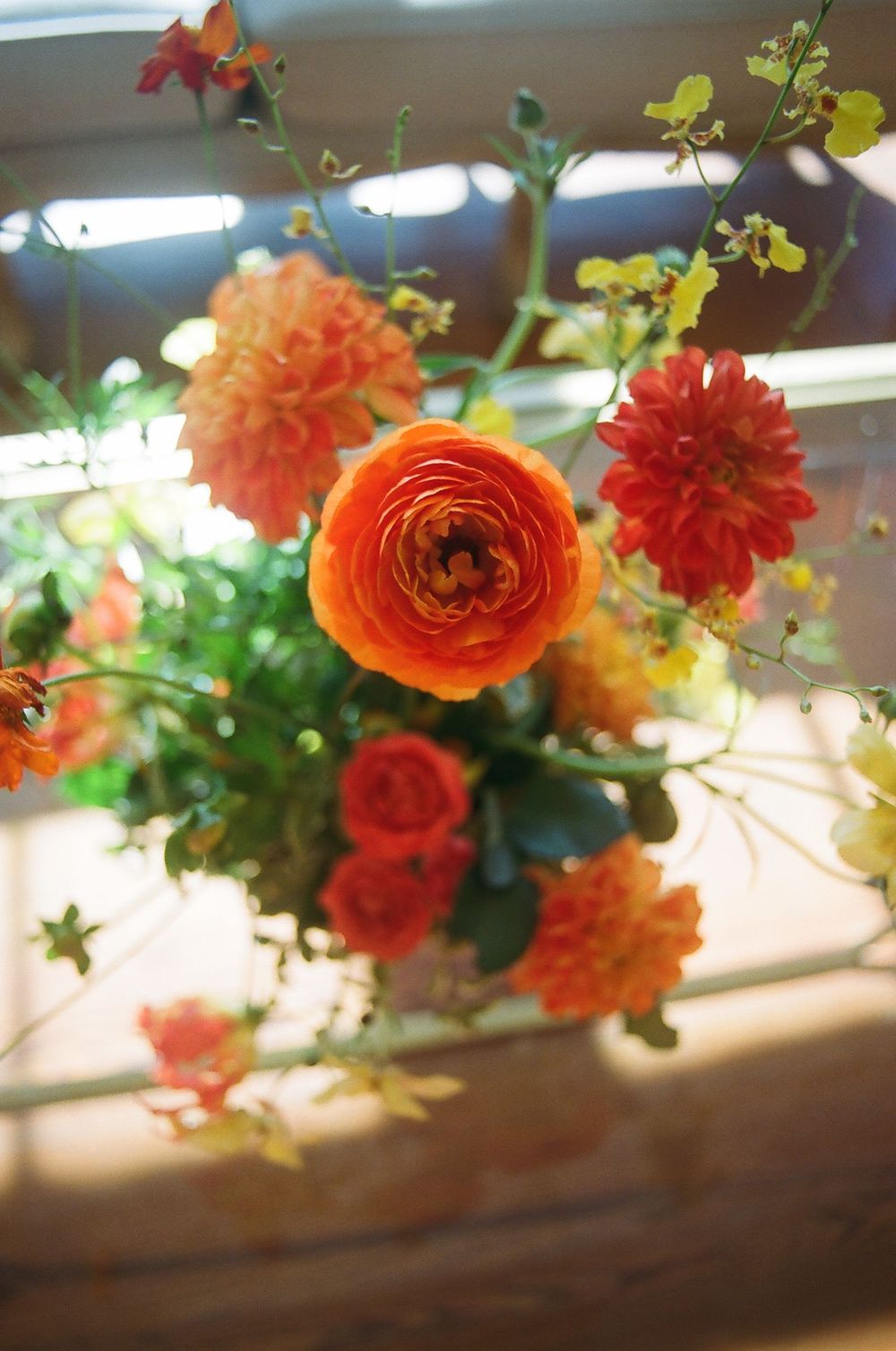 Colorful orange and coral dahlias and ranunculus flowers arranged in an artistic display.