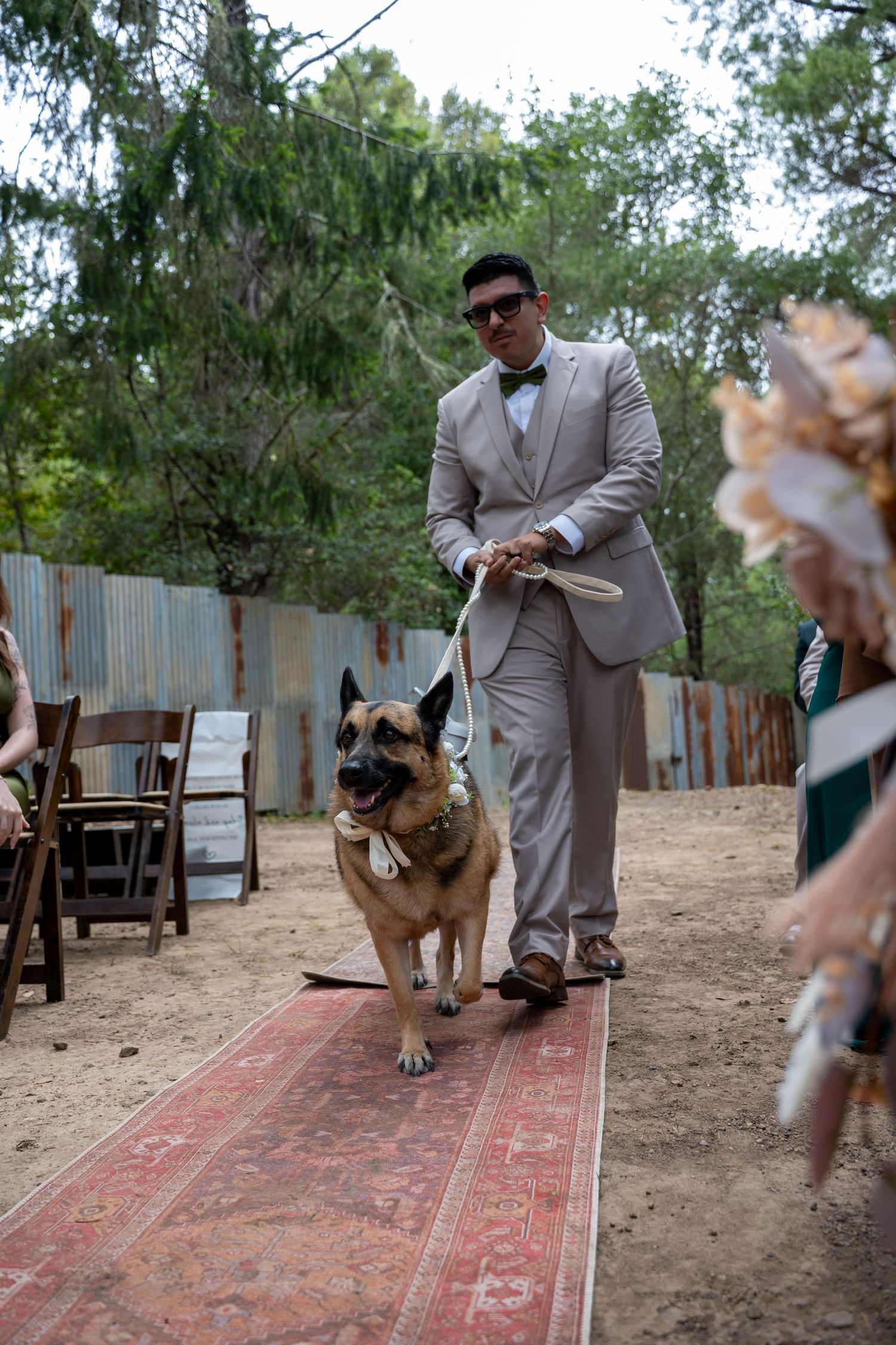 Groom in gray suit walks large tan dog down outdoor wedding aisle on decorative rug surrounded by trees.