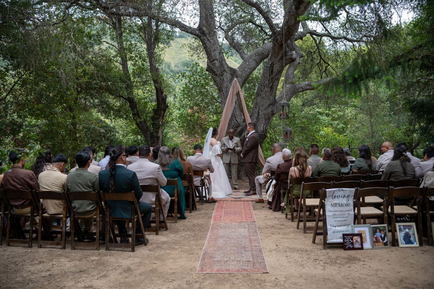 Outdoor wedding ceremony under large trees with guests seated in wooden chairs along a rustic aisle runner.