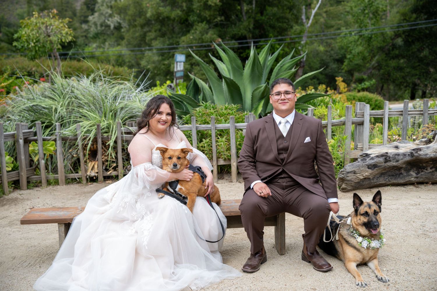 Bride and groom sitting on bench with two dogs, a Corgi and German Shepherd, in lush garden wedding setting.