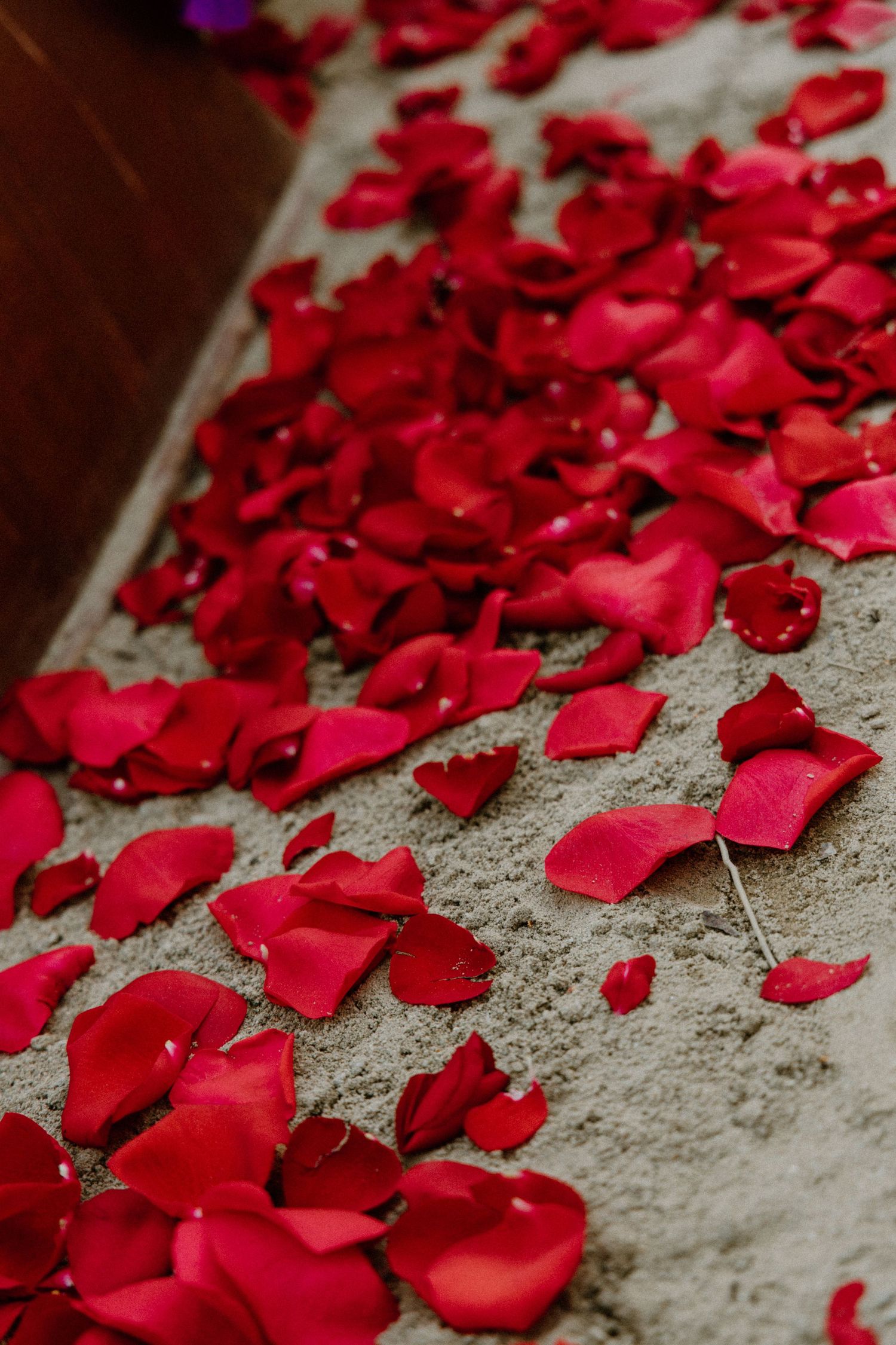 Vibrant red rose petals scattered across a textured concrete surface creating a romantic and elegant display.