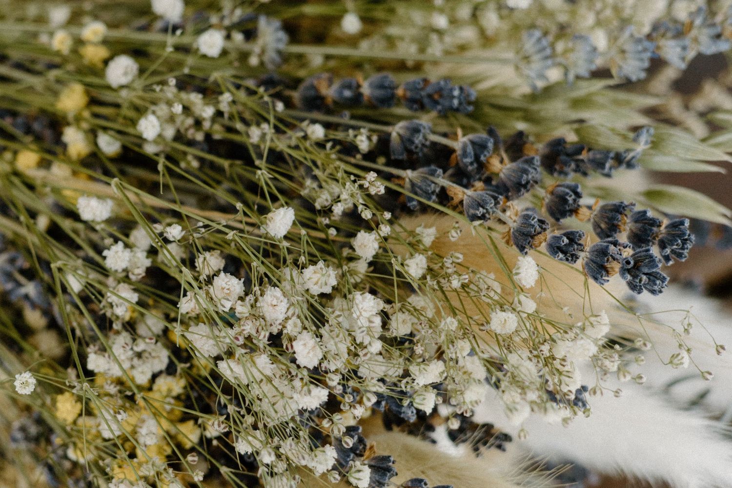 Close-up macro shot of dried baby's breath and lavender flowers arranged together in a delicate floral display.