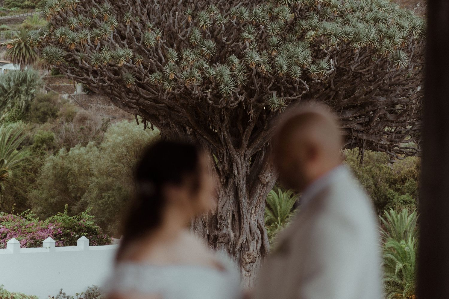 A couple shares an intimate moment under a twisted tree during their wedding ceremony.