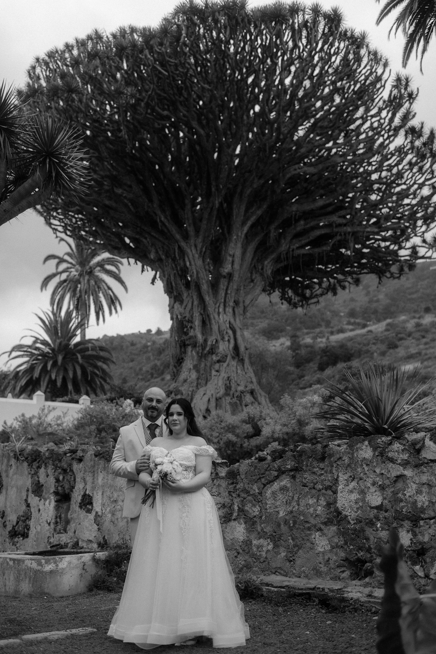 A black and white photo of a couple standing beneath a majestic dragon tree in a scenic garden setting.