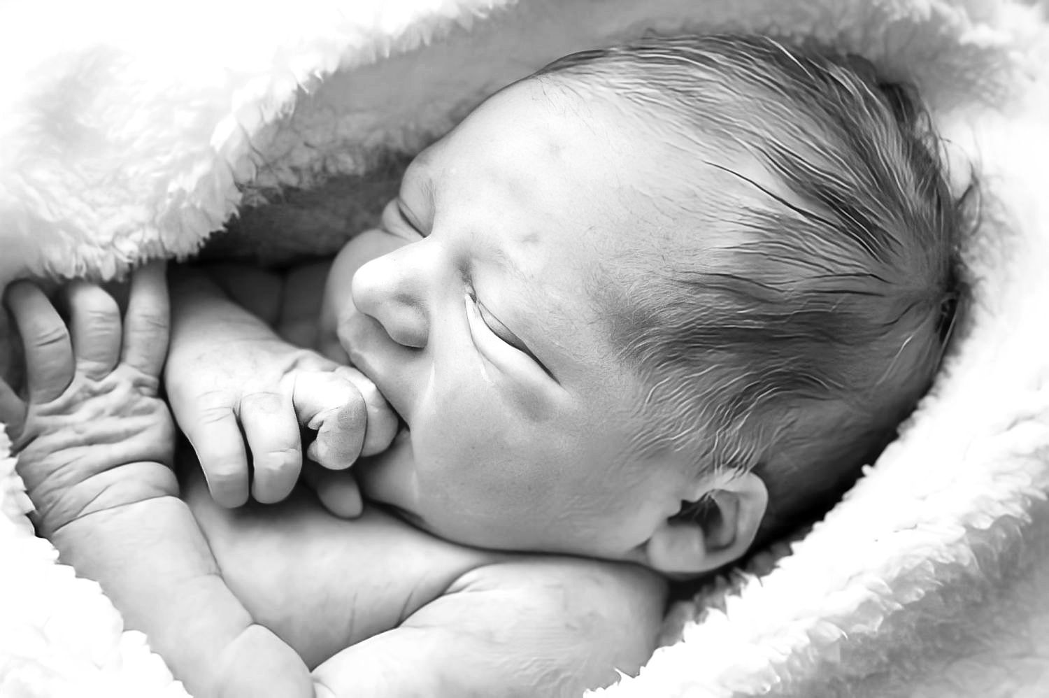 A sleeping newborn baby wrapped in soft white blankets with delicate features in black and white.