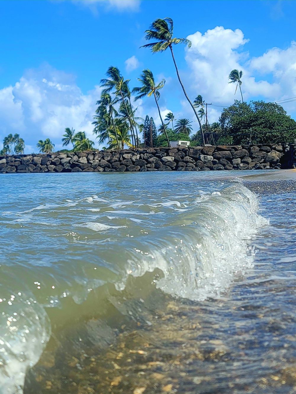 Ocean wave breaks near a rocky Hawaiian beach lined with swaying palm trees under blue skies.
