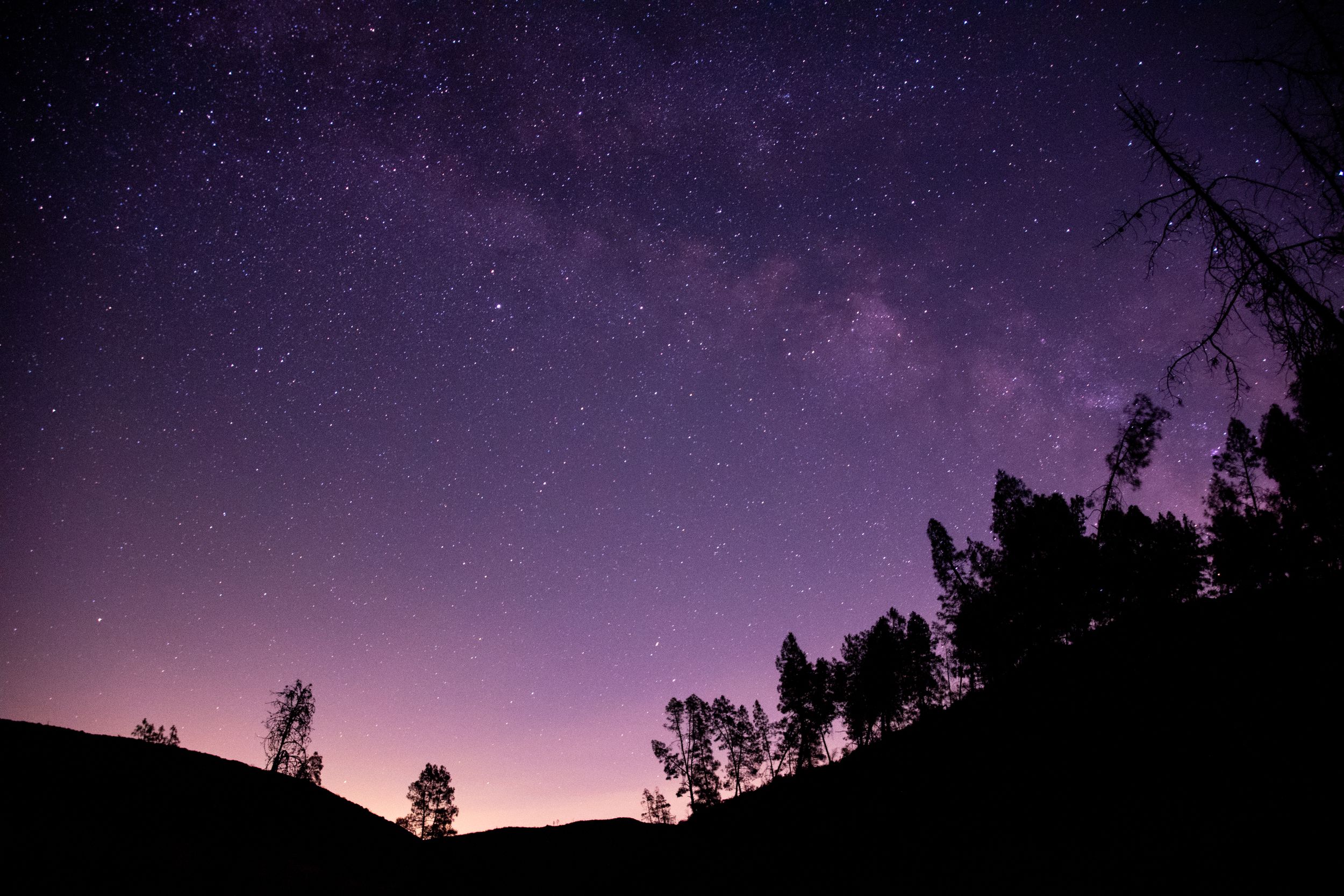 A starry night sky with the Milky Way visible above silhouetted trees and hills against a purple-hued horizon.
