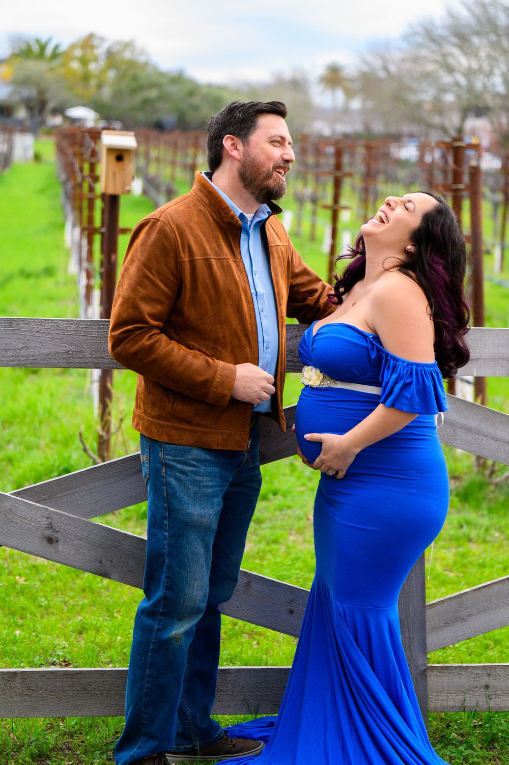 Couple laughs together during maternity photoshoot with woman wearing elegant blue gown by wooden fence on grassy field.