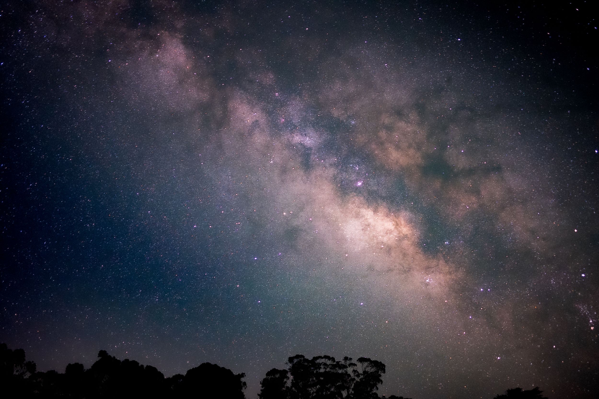Beautiful Milky Way galaxy stretches across dark night sky above silhouetted trees in a stunning astrophotography shot.