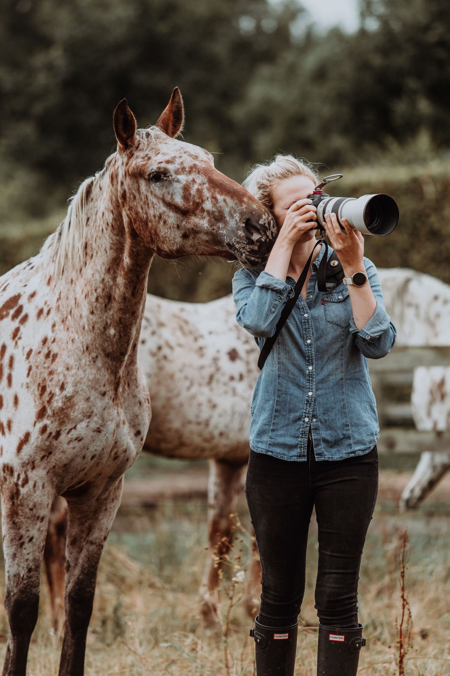 A person in a white sweater sits in a grassy field at sunset with a horse grazing in the background.