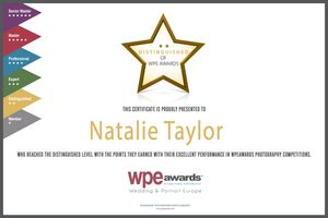 Colorful award banners with star logos and text layouts for WDC awards and recognition certificates.