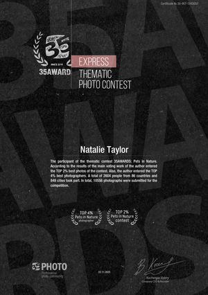 Dark certificate design for 35 Seaward Express Thematic Photo Contest with laurel wreath emblem and award details.