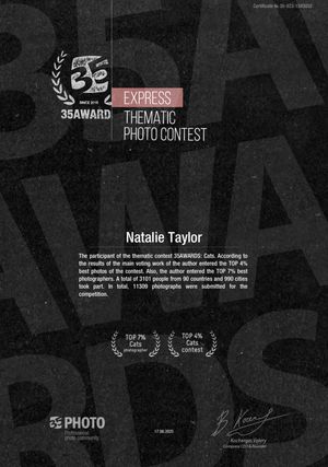 Dark artistic collage featuring film festival laurels and text elements with photo contest branding in monochromatic style.