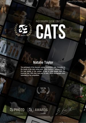 Dark website interface showing photography awards and contest sections with elegant black and gold design elements.