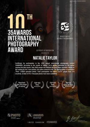 Photography award certificate collection showing multiple accolades and honors from international competitions.