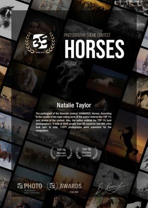 Award-winning photography theme contest interface showing dark mosaic layout with horse imagery and photo awards.