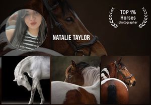 A collection of equestrian photography showing horses and riding equipment in warm brown tones.