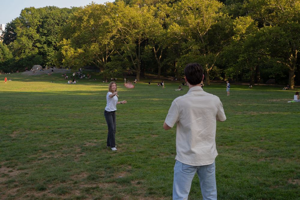 People playing frisbee in a grassy park on a sunny afternoon with trees in the background.