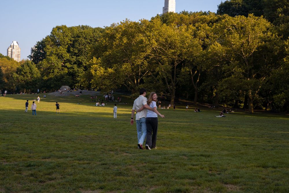People enjoy a peaceful evening in a grassy park with golden sunlit trees in the background.