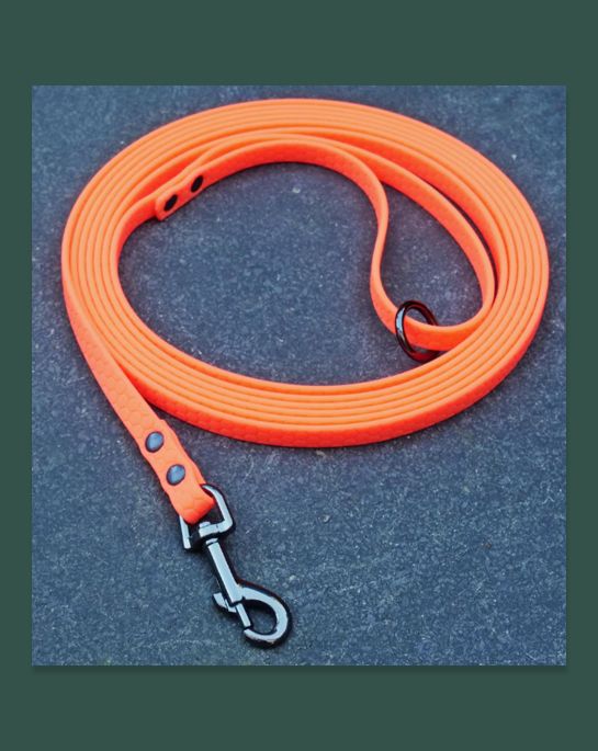 piratedog.co.uk, long lead, behaviourist, dog, training