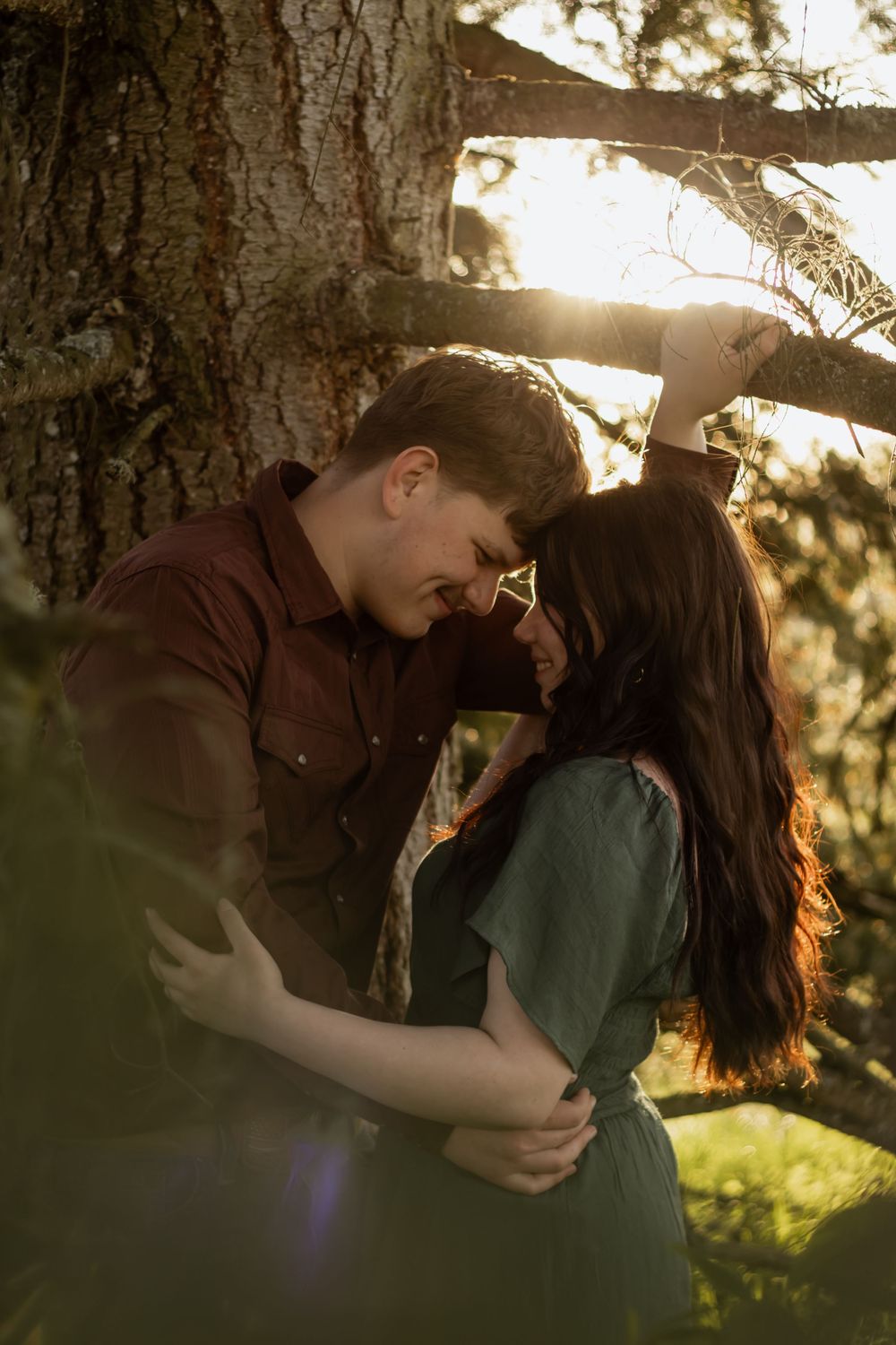 Romantic couple embracing under a sunlit tree at golden hour, foreheads touching in an intimate outdoor moment at scatter creek washington