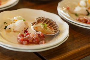 Raw seafood appetizers including scallops and tartare served on elegant white plates on a wooden table.