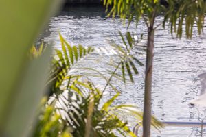 Palm fronds frame a serene waterfront view with boats anchored in the distance on a calm lake.