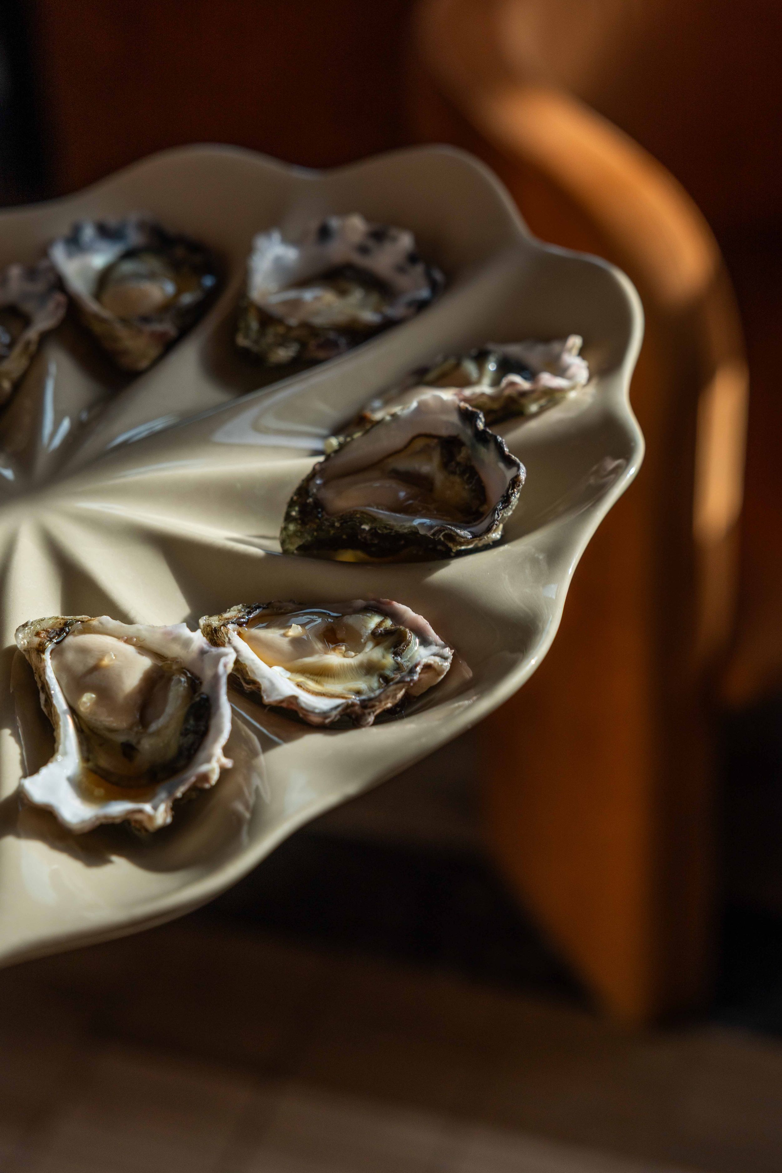 Fresh oysters on white porcelain plates arranged in a row with warm ambient lighting and shallow depth of field.